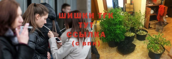 соль ск Алзамай