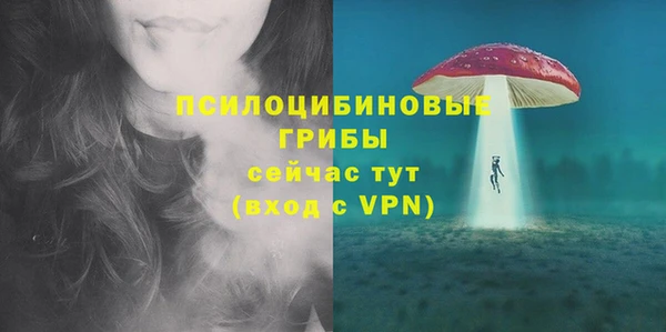 соль ск Алзамай