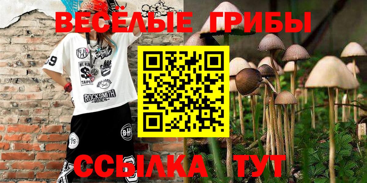Апшеронск  Псилоцибиновые грибы прущие грибы  Вход с VPN 
